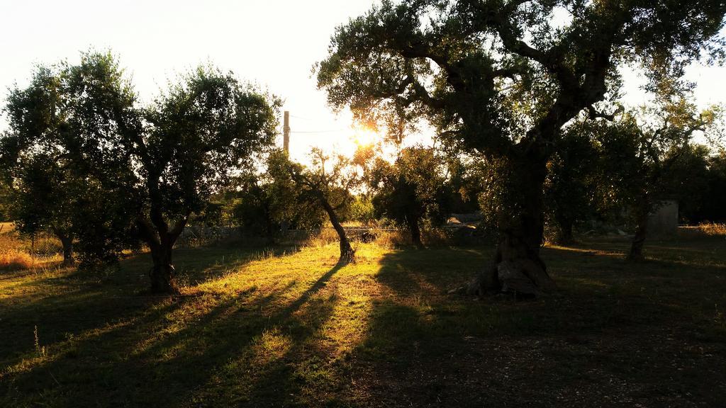 Antica Masseria Scagnito Villa Corigliano dʼOtranto Exteriör bild